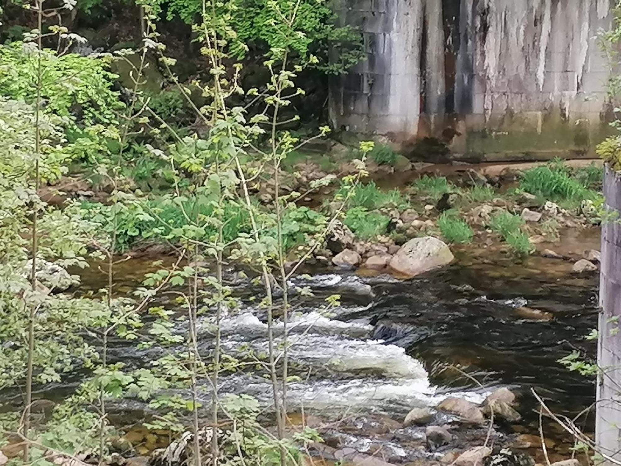 Hotylek Na Myte Ξενοδοχείο Harrachov Εξωτερικό φωτογραφία